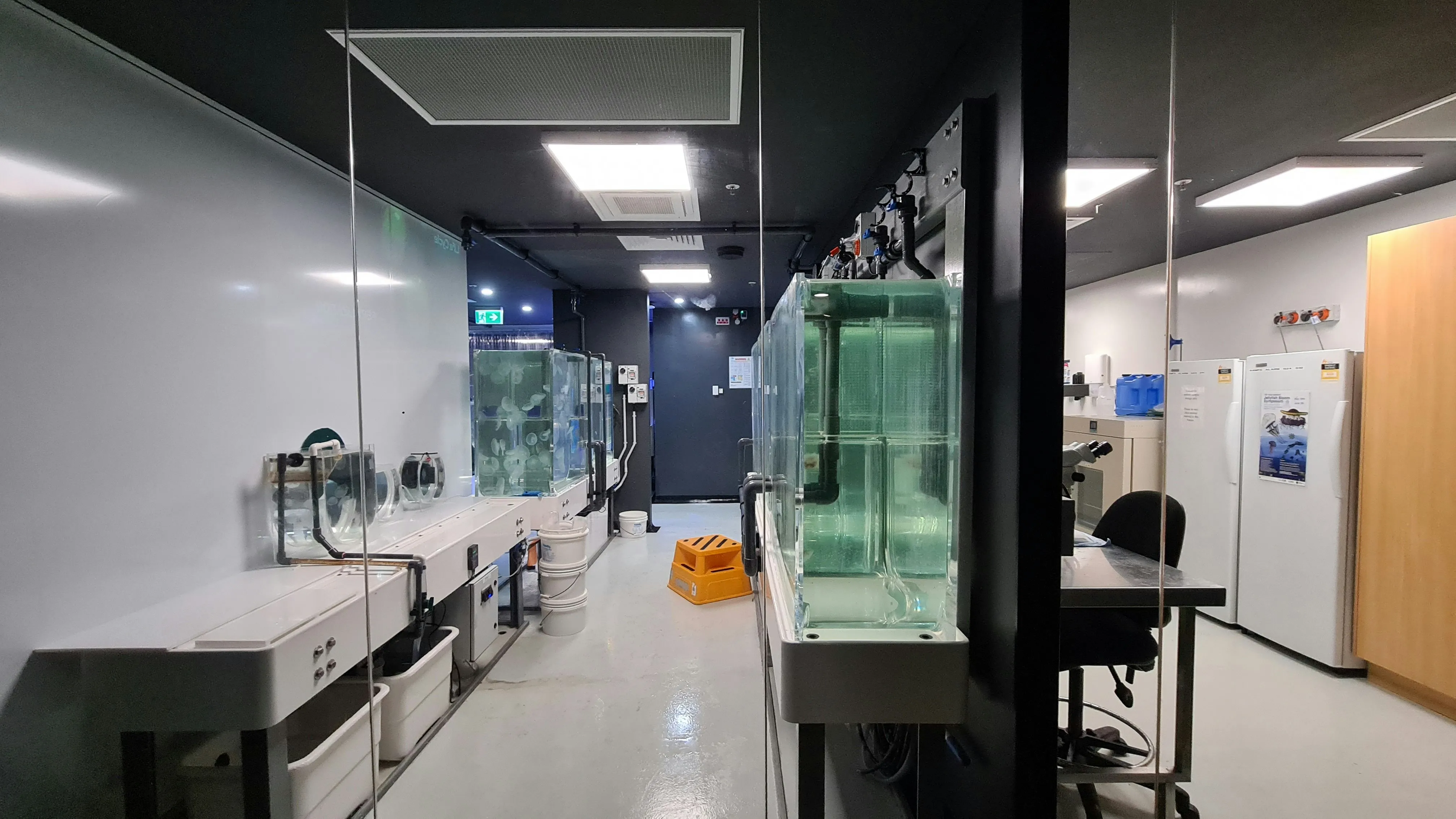 Modern manufacturing area at Phytofusion Labs
