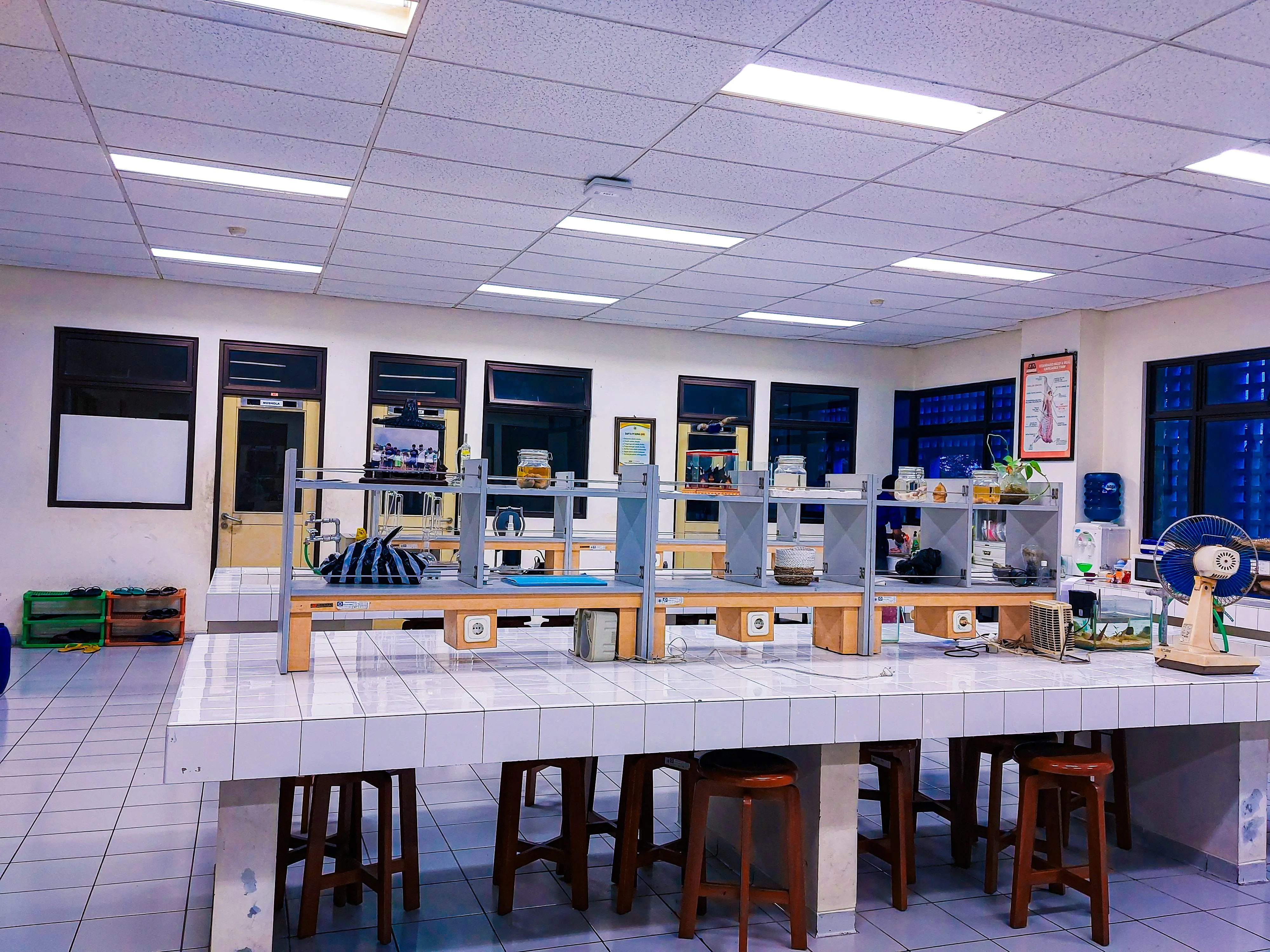 Quality control and R&D at Phytofusion Labs